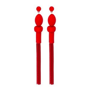 Tassel Earrings - A New Day™